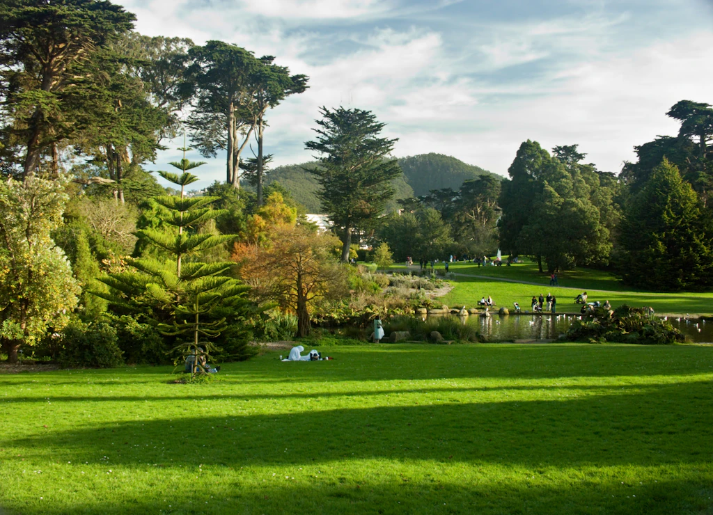 Golden gate park on a sunny day Golden gate park on a sunny day