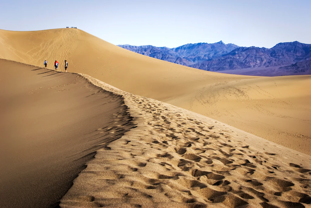 Walking in Mesquite dunes
