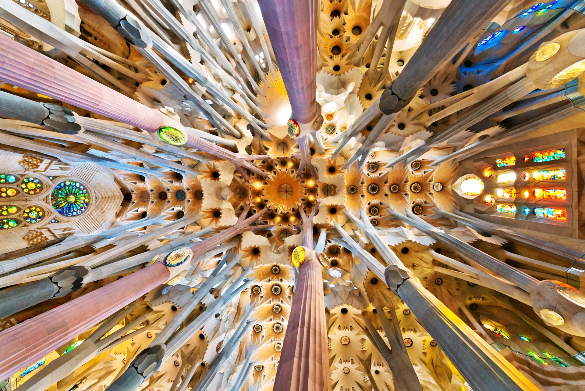 The church ceiling inside of La Sagrada Familia