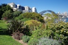 View to the Sydney Harbour Bridge from the top of Wendy's Secret Garden, a public garden established by Wendy Whiteley on once derelict land, Lavender Bay, Sydney, New South Wales, Australia