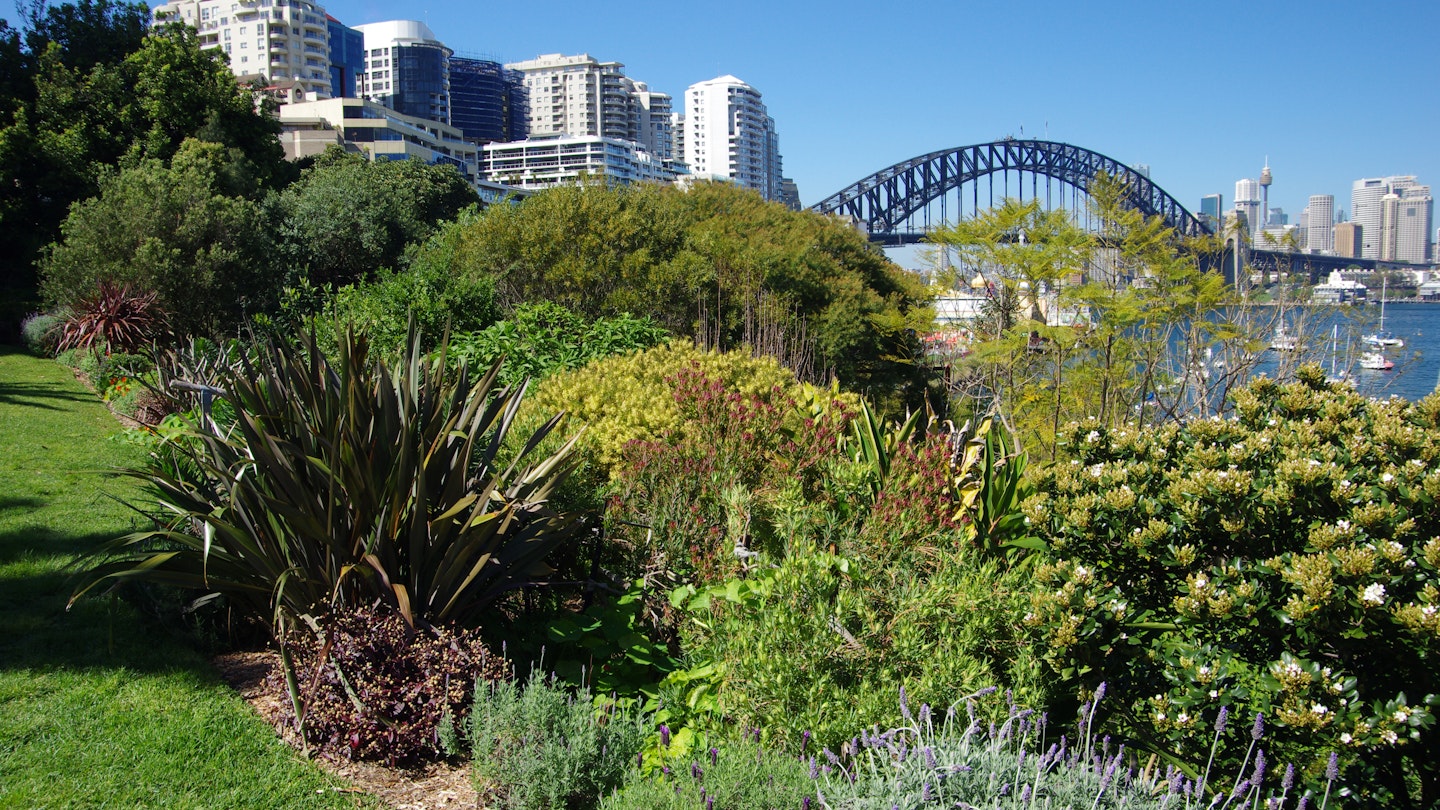 View to the Sydney Harbour Bridge from the top of Wendy's Secret Garden, a public garden established by Wendy Whiteley on once derelict land, Lavender Bay, Sydney, New South Wales, Australia