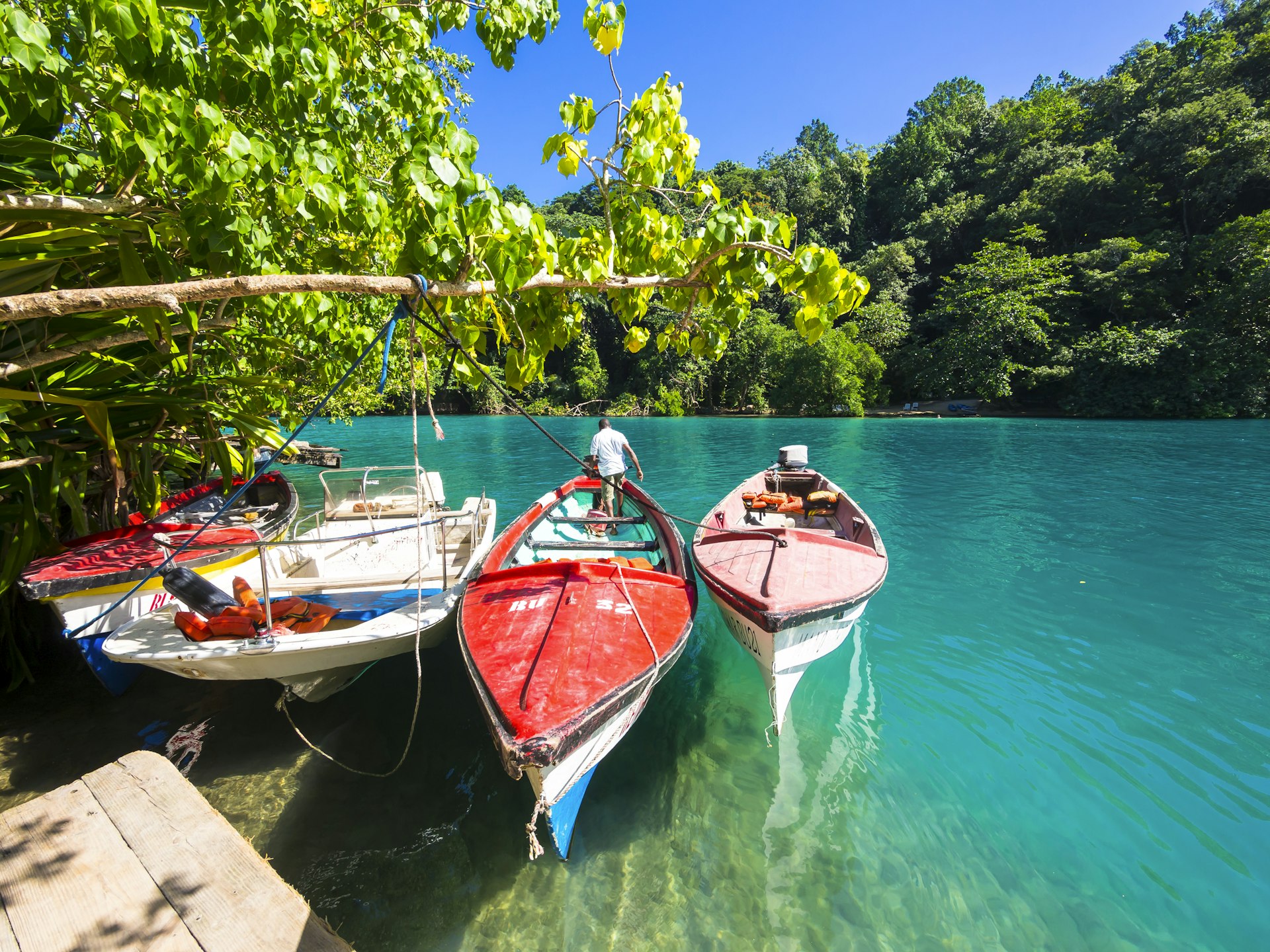 Three multi-coloured boats tied against a tree in Jamaica's Port Antonio bob in a blue lagoon