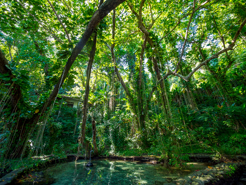 Jamaica, Port Antonio, blue lagoon Jamaica, Port Antonio, blue lagoon