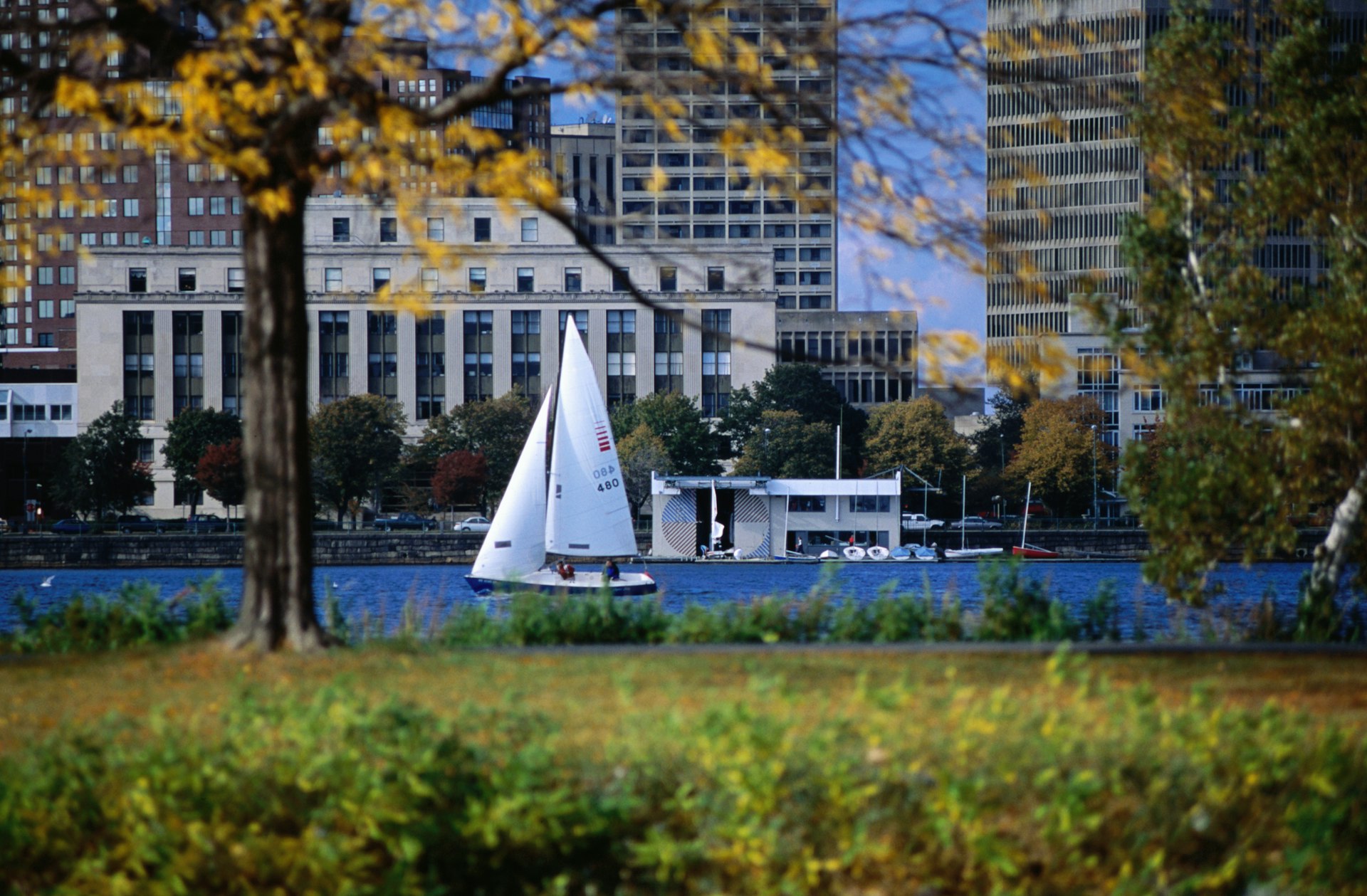 A sailboat off the Esplanade on the Charles River in Boston