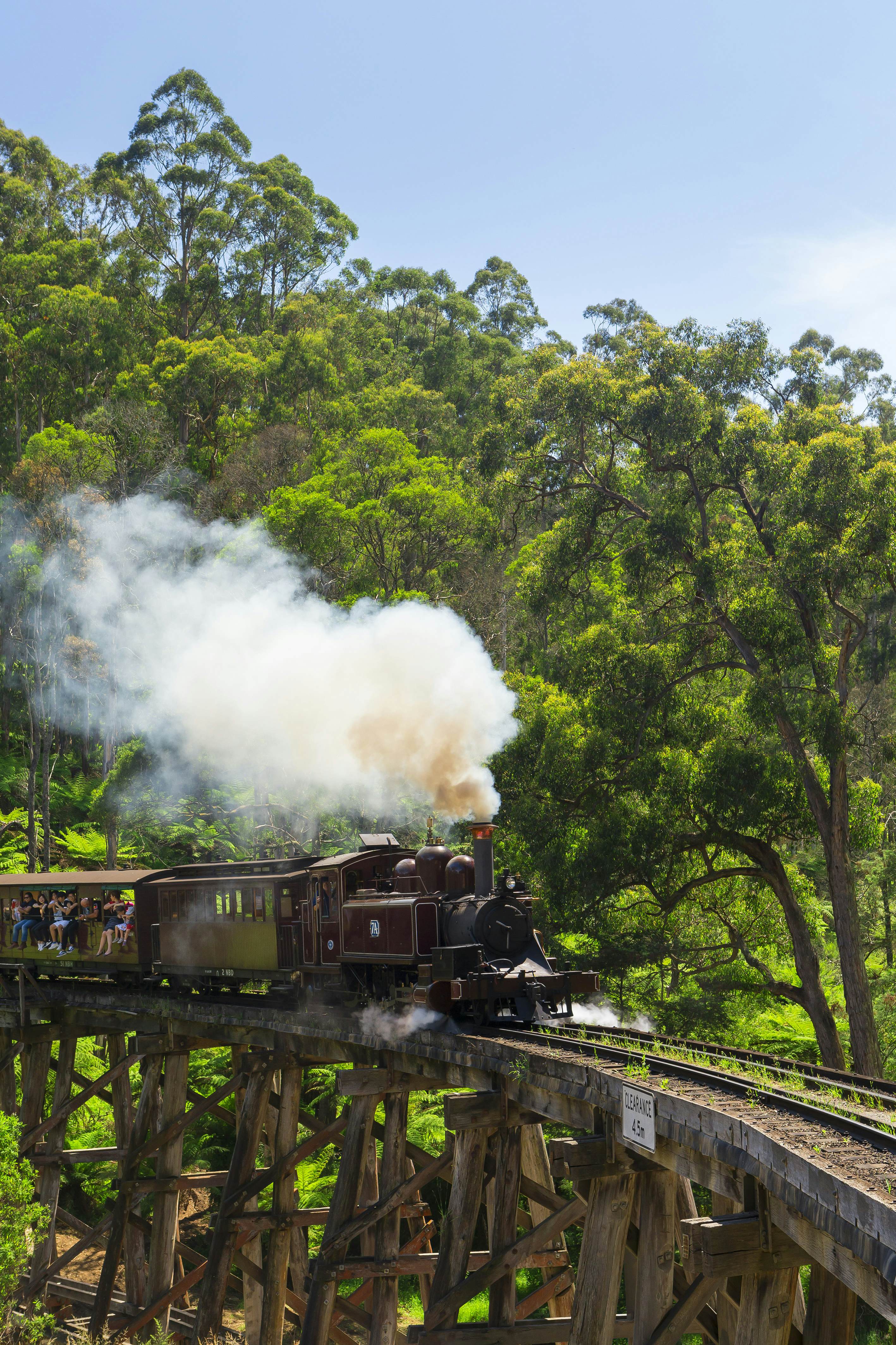 A vertical shot of Puffing Billy, an old fashioned steam train, crossing a rickety wooden bridge in Victoria, Australia. Behind the train and track dense forest is visible.