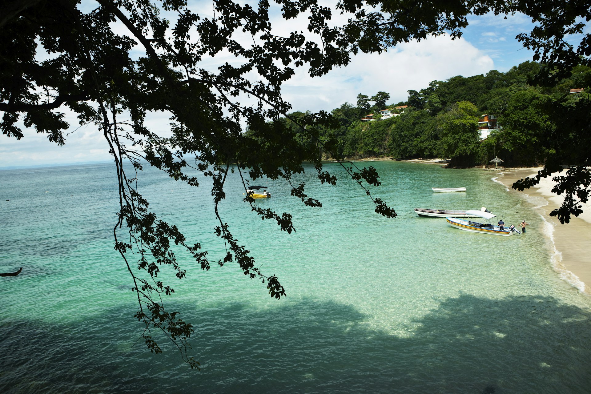 A view of Playa Galeon (Galleon Beach) on Isla Contadora. The shot is framed by leaves from a tree in the foreground. The beach has white sand and the turquoise waters are still and calm.