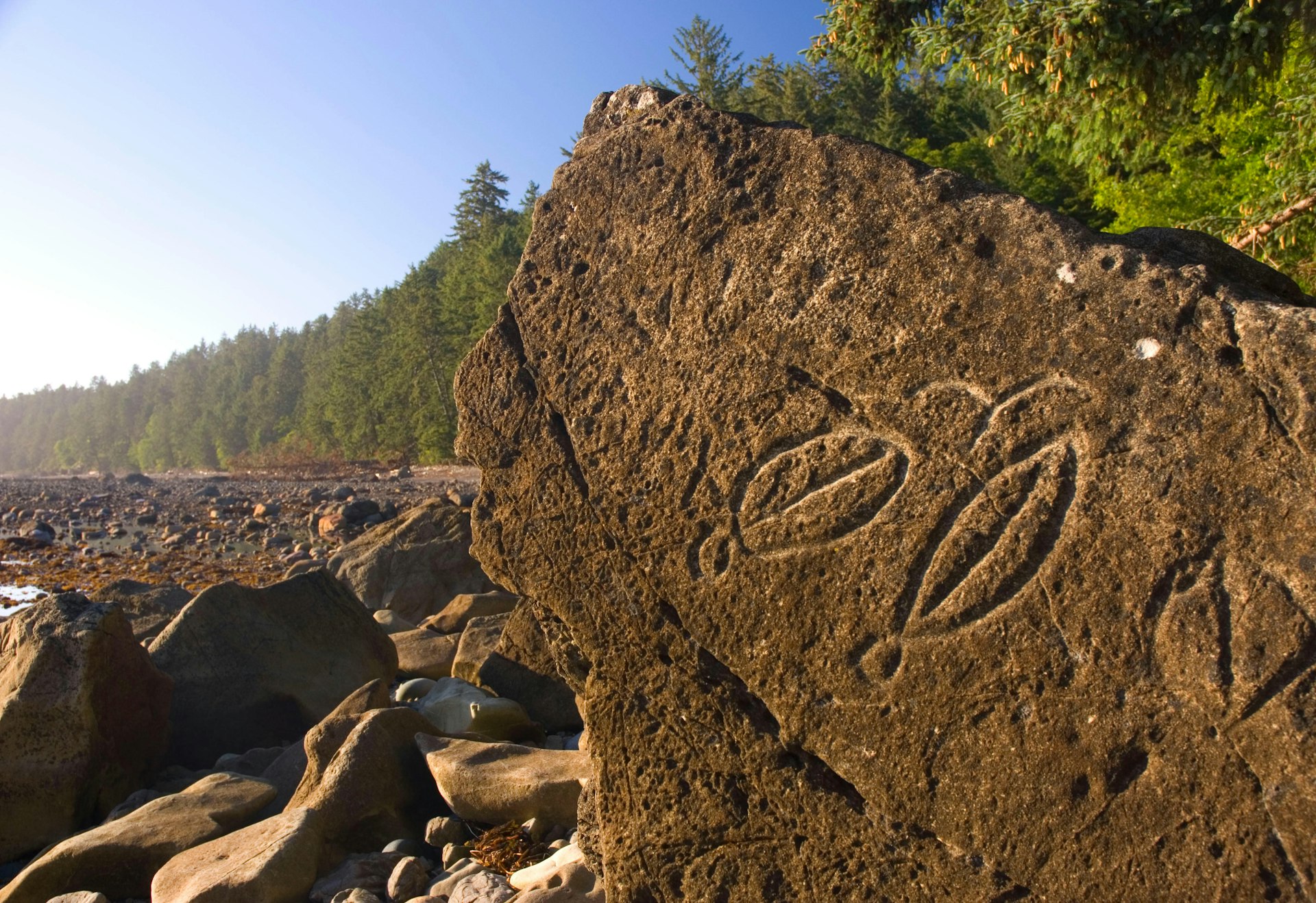 Petroglyphs at Wedding Rock, Olympic National Park, Washington