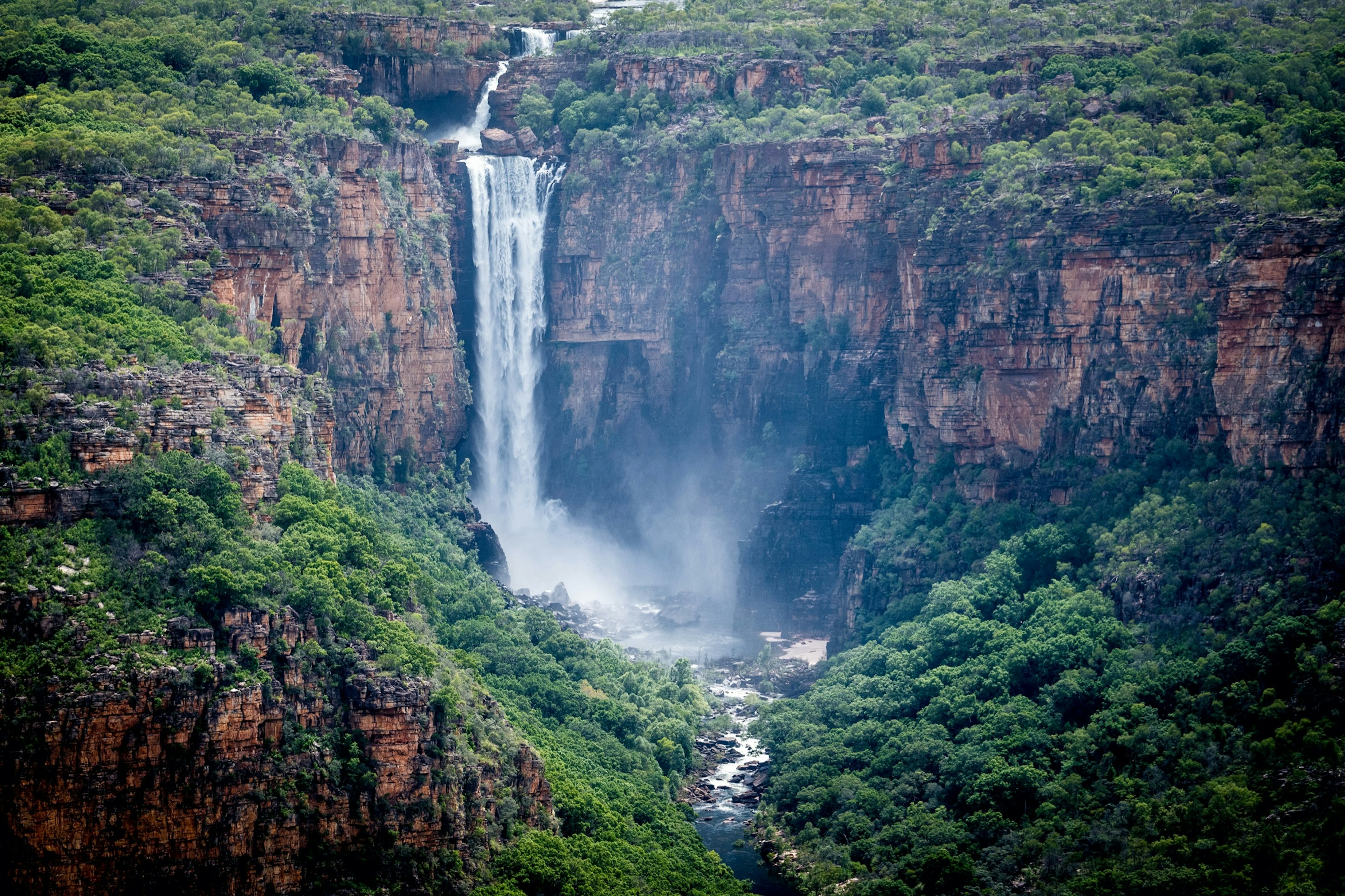 Northern_Territory_Forest.jpg