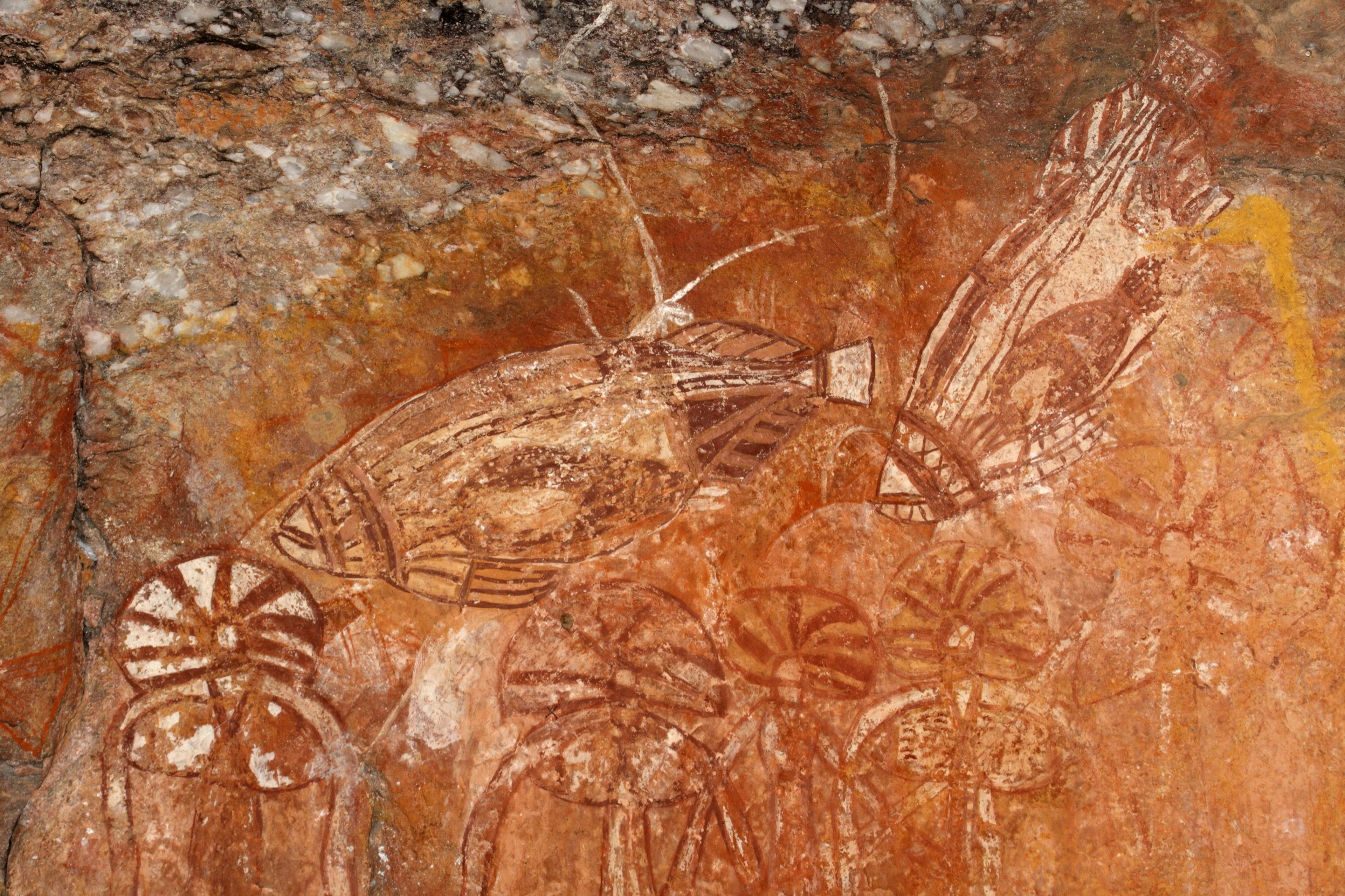 Northern_Territory_rock_art.jpg