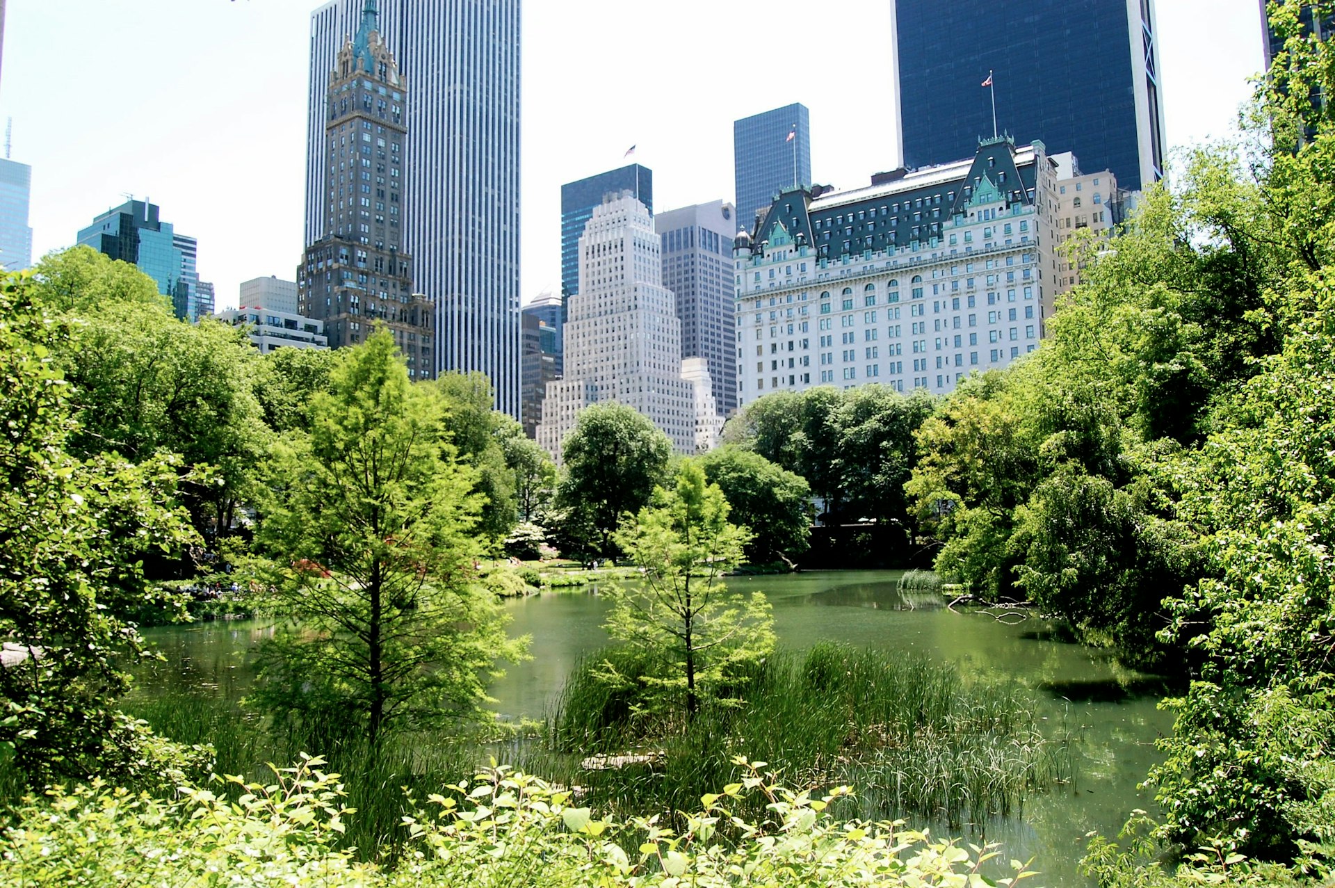 View of The Plaza and East Side from Central Park