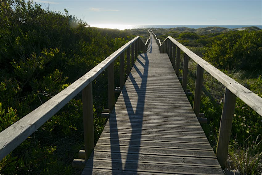 Uma estreita passagem de madeira conduz através das colinas até a costa distante da Reserva Natural de São Jacinto, em Portugal.