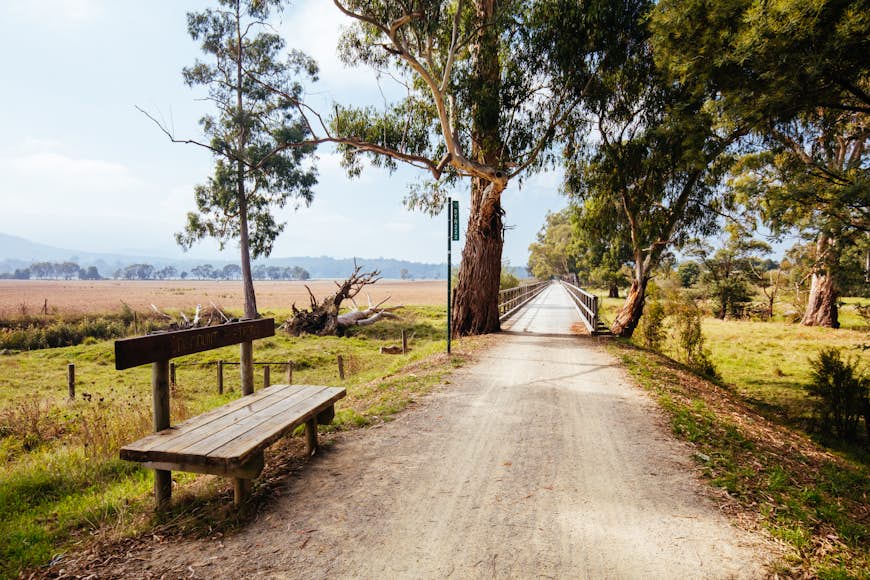 A narrow, straight walking path runs through green fields between Lilydale and Warburton in Australia. 