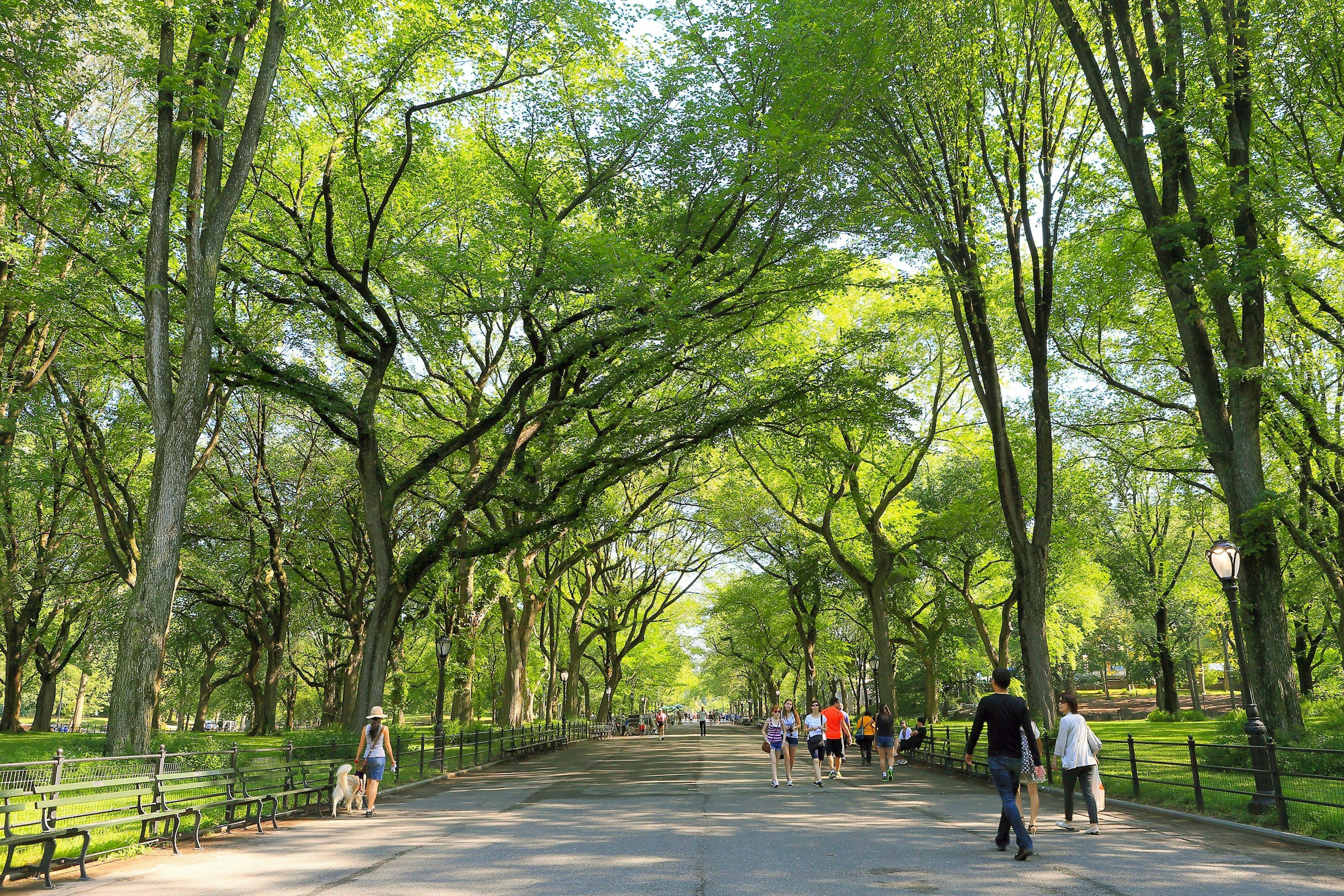 Path at Strawberry Fields in New York City's Central Park