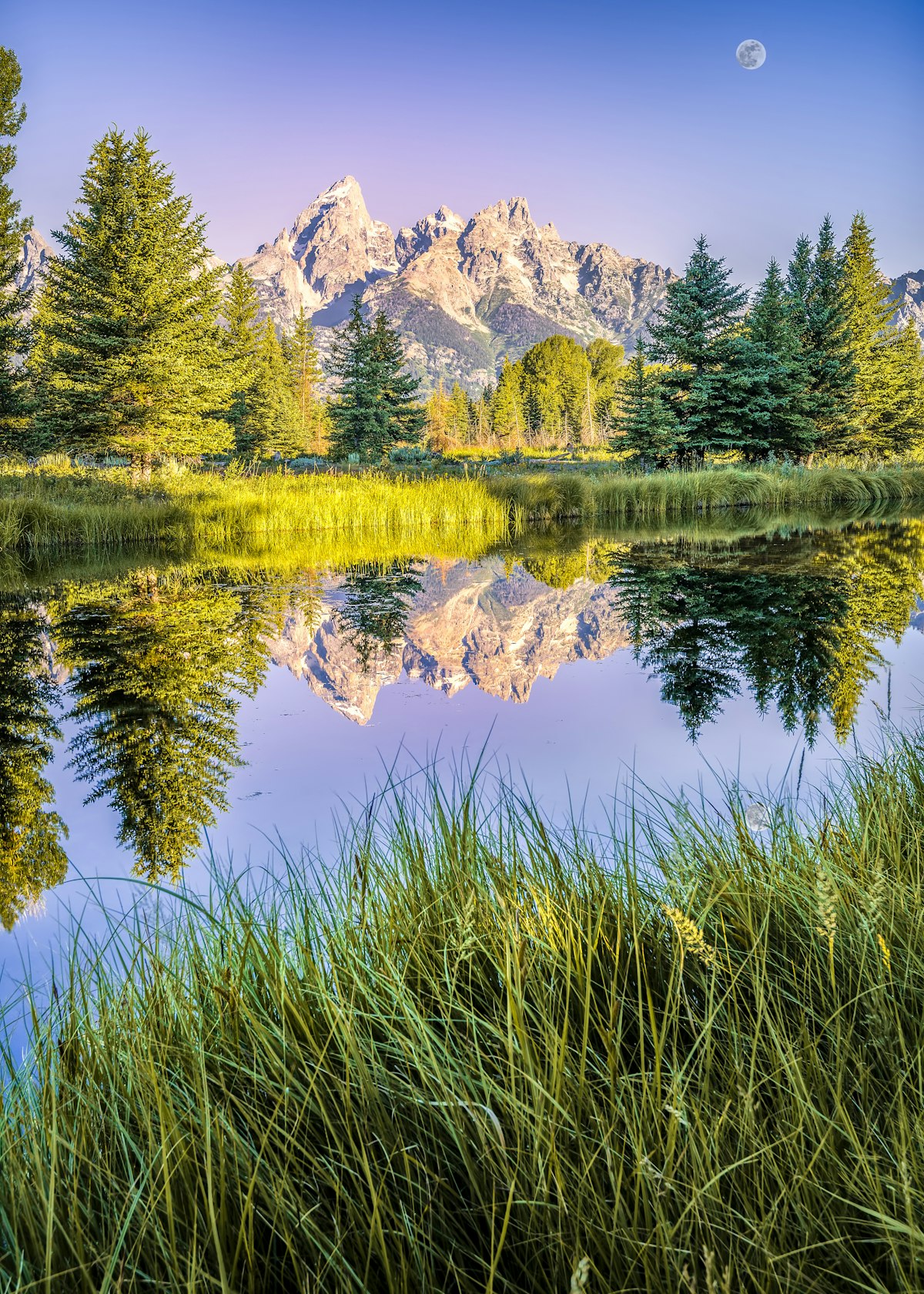 The Teton range's reflection upon the Snake River after dawn at Schwabacher Landing in Grand Teton National Park, WY.