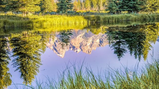 The Teton range's reflection upon the Snake River after dawn at Schwabacher Landing in Grand Teton National Park, WY.