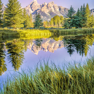 The Teton range's reflection upon the Snake River after dawn at Schwabacher Landing in Grand Teton National Park, WY.