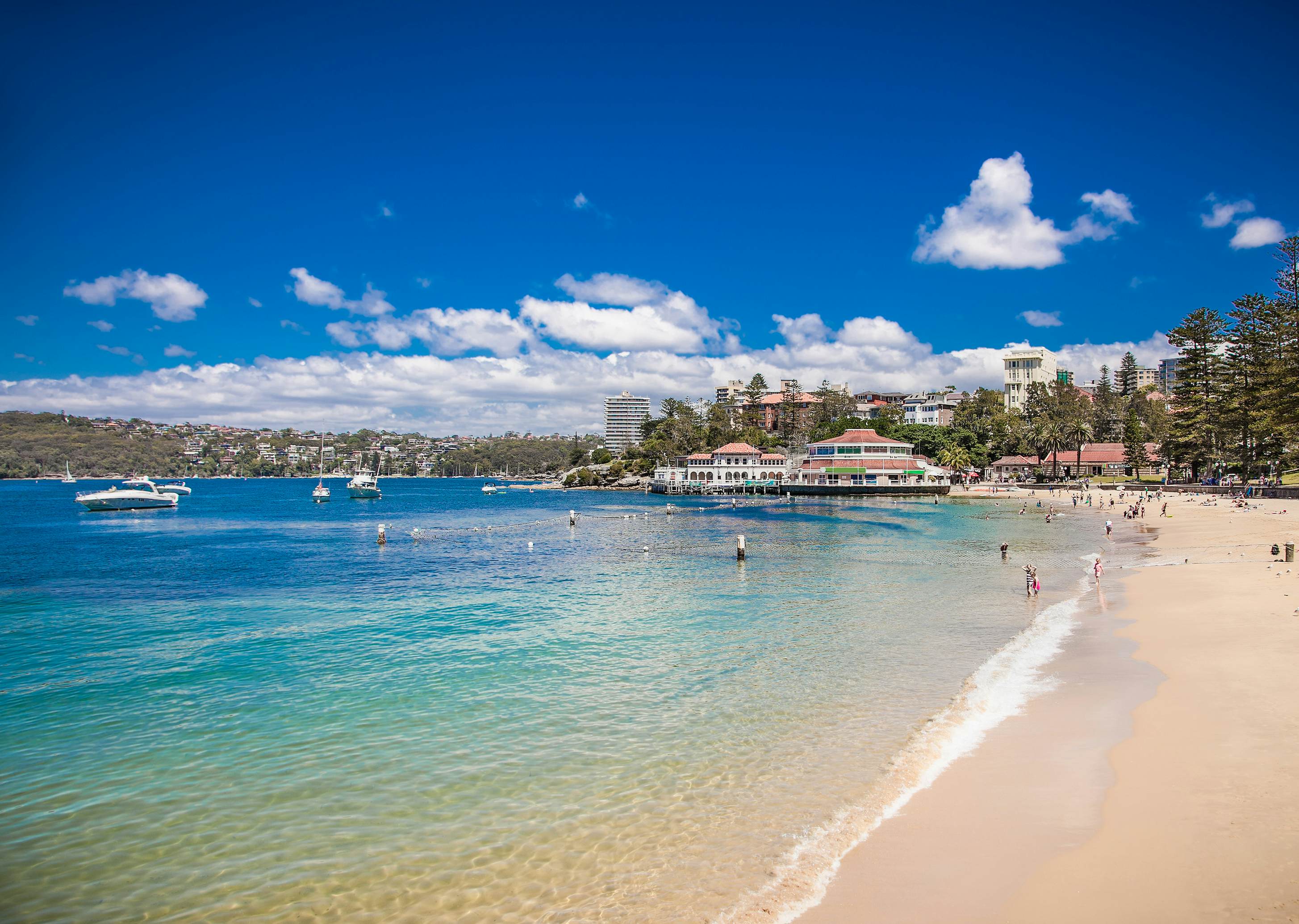 The 10 Best Beaches In Sydney Lonely Planet   ShutterstockRF 247797820 