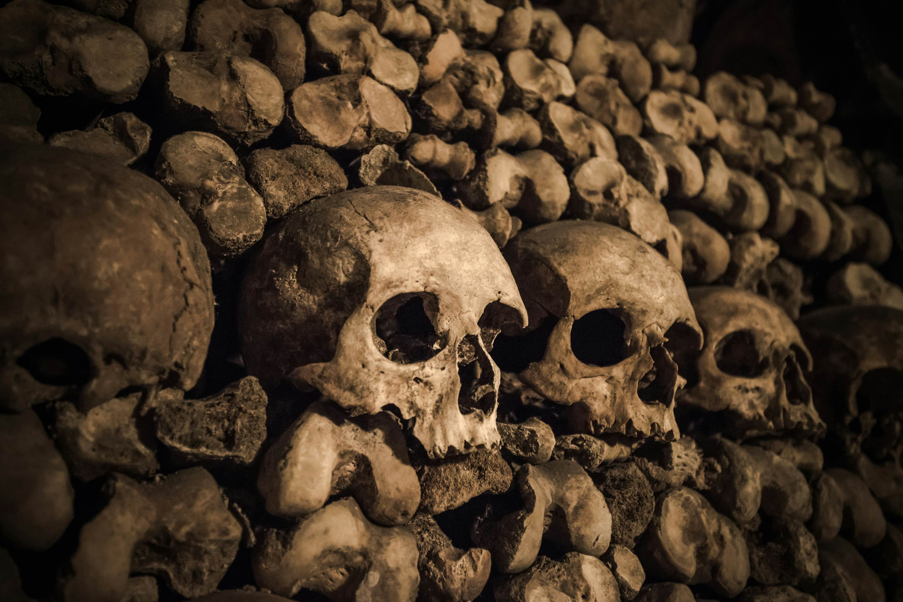 Skulls and bones in Paris Catacombs
