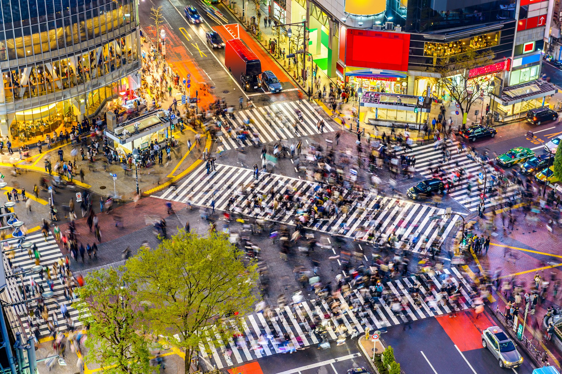 An aerial view of the Shibuya Crossing, one of the busiest crosswalks in the world, with the lit up buildings around it