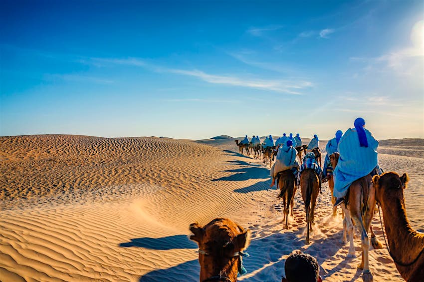 Sahara Desert, Morocco A caravan of camels walking through the sands of the Sahara Desert, Morocco