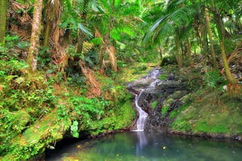 waterfall in rainforest