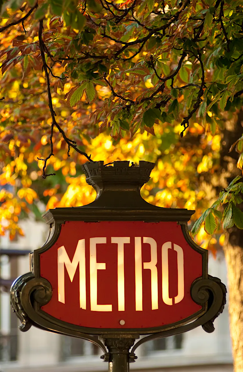 Paris metro A classic Parisian metro sign underneath autumn leaves.