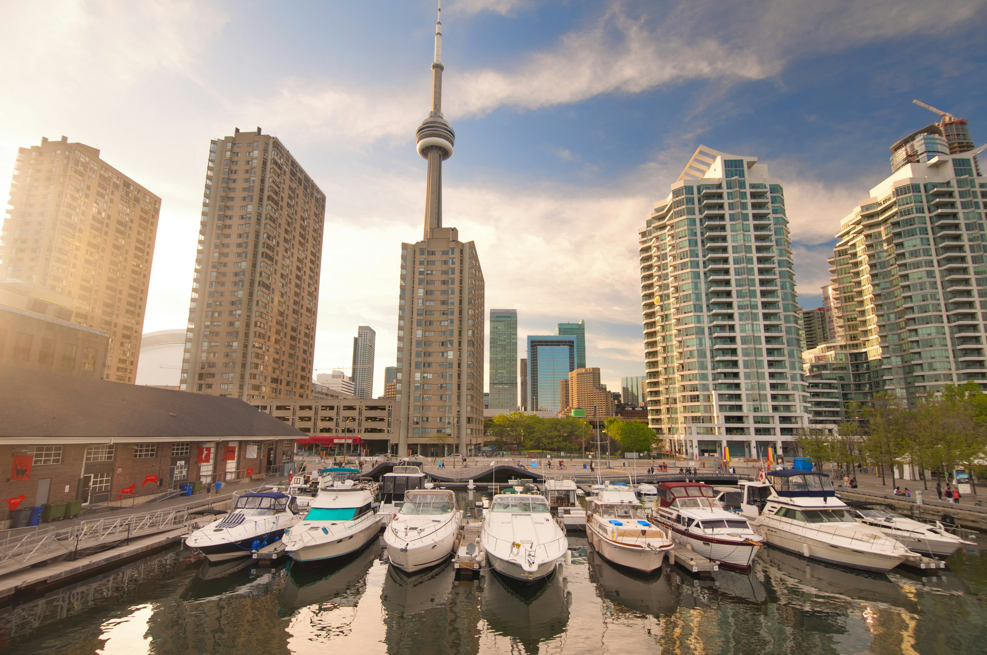 A harbor with boats and skyscrapers in the background