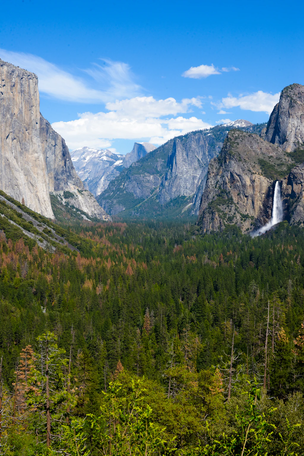 shutterstockRF_524116624.jpg shutterstockRF_524116624.jpg
