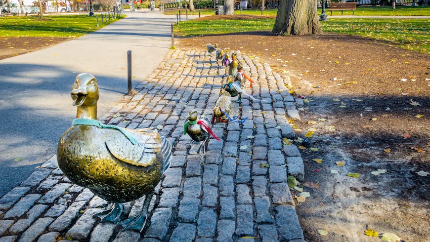 Duck brass statues at Boston Public Gardens