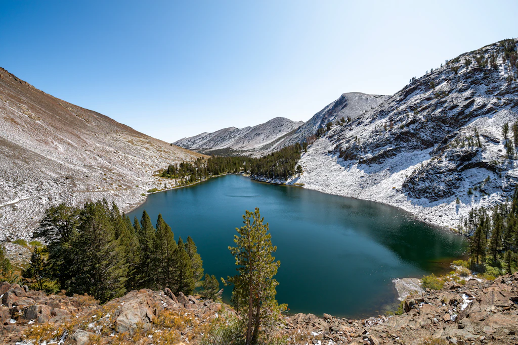 shutterstock_1568001214.jpg