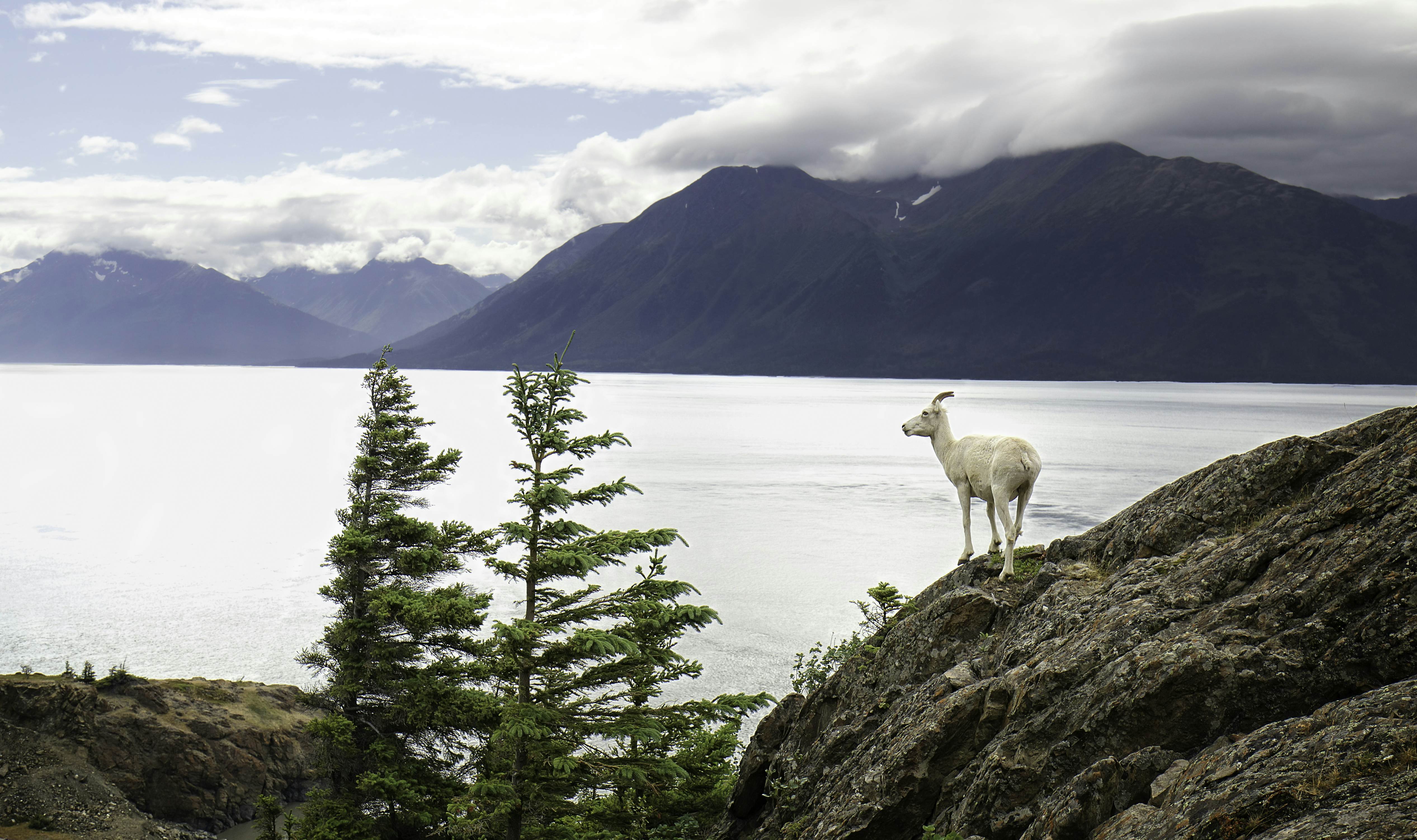 Top 14 Best Hikes In Alaska - Lonely Planet