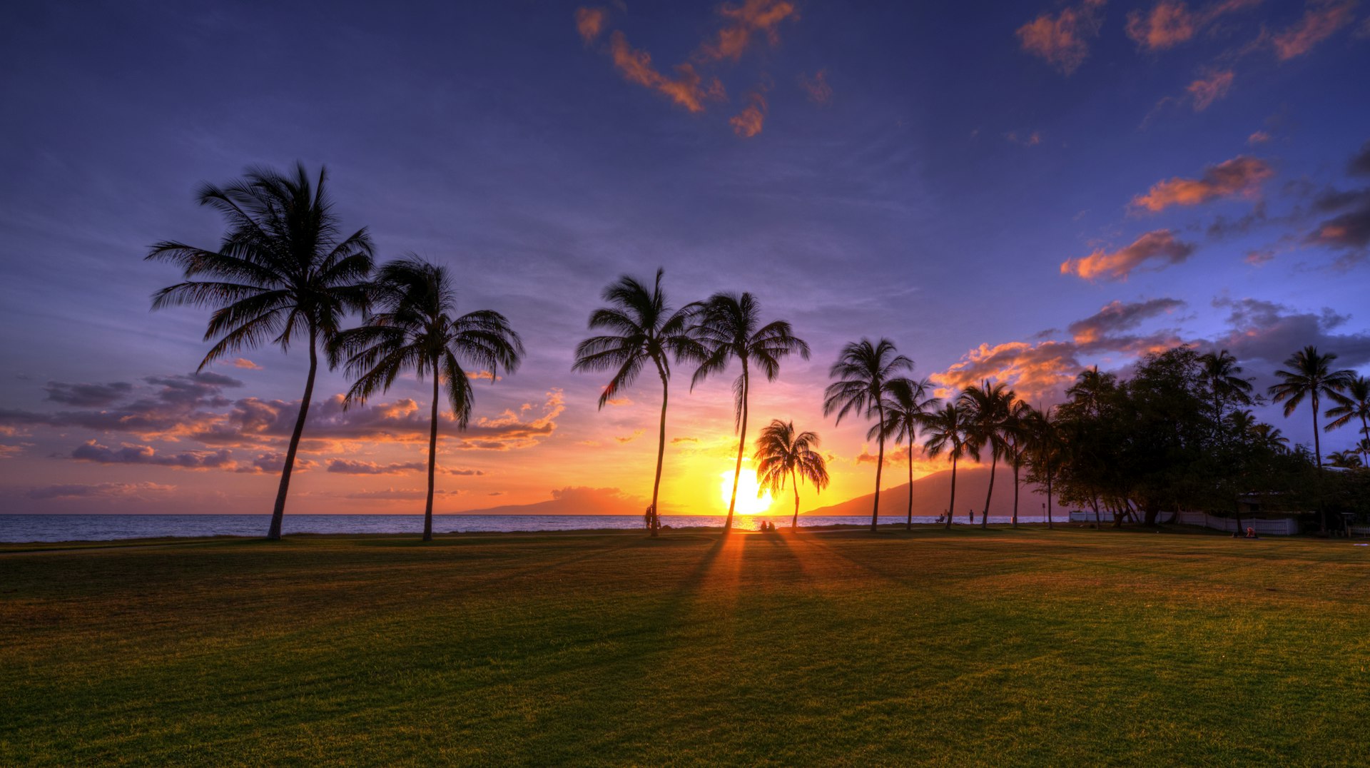 A sunset behind palm trees