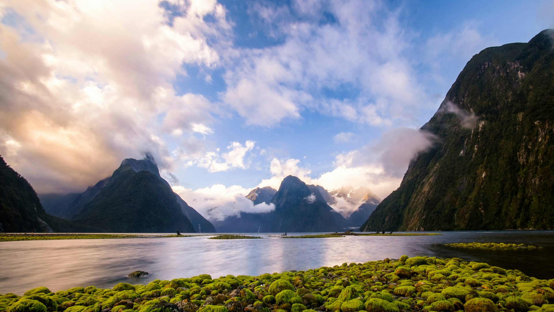 Dense clouds hang over green-topped mountains as the large Milford Sound is surrounded by greenery