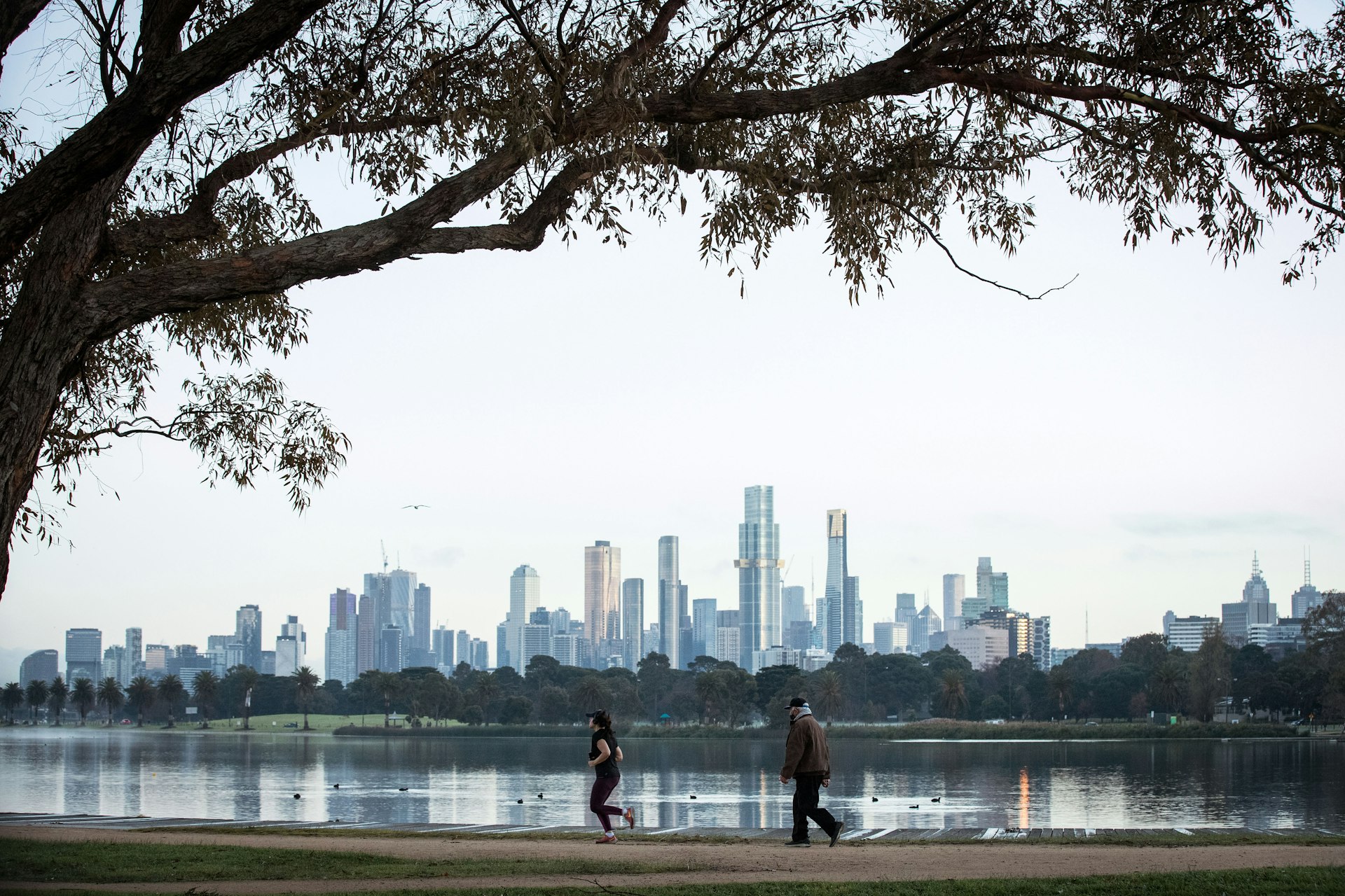A jogger makes their way around a track in Albert Park Lake. Behind them is the large lake, and beyond that the skyline of central Melbourne.