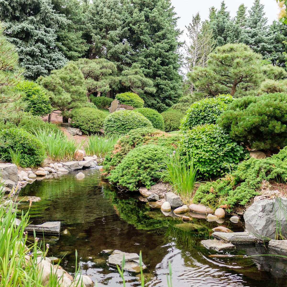 Japanese garden at Denver Botanic Gardens