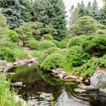 Japanese garden at Denver Botanic Gardens