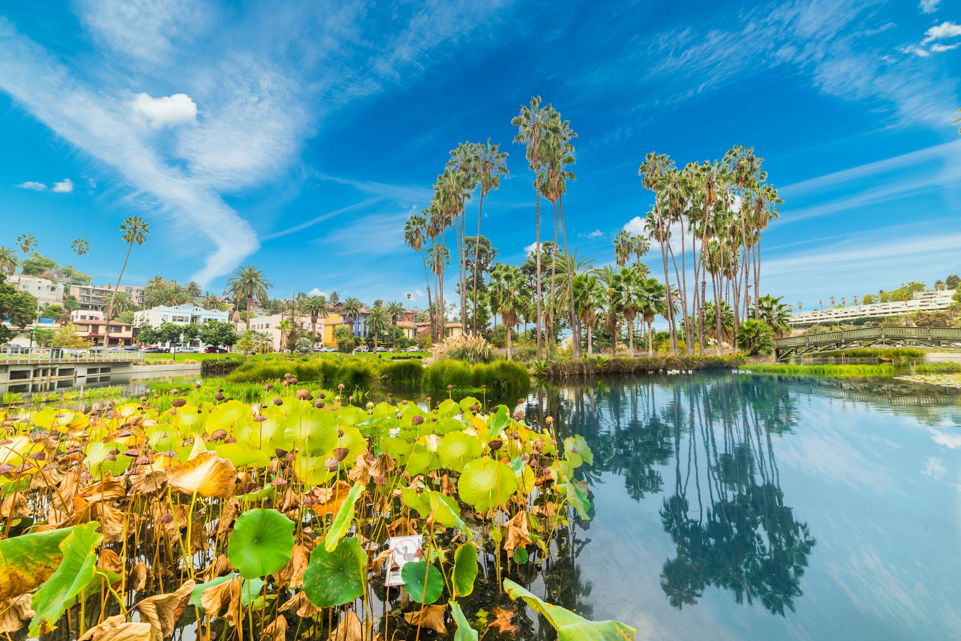 Echo park in Los Angeles