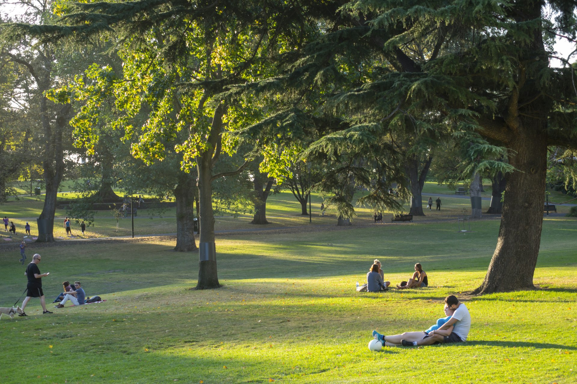 People lie on the grass under the shade of large trees in Flagstaff Gardens, Melbourne.