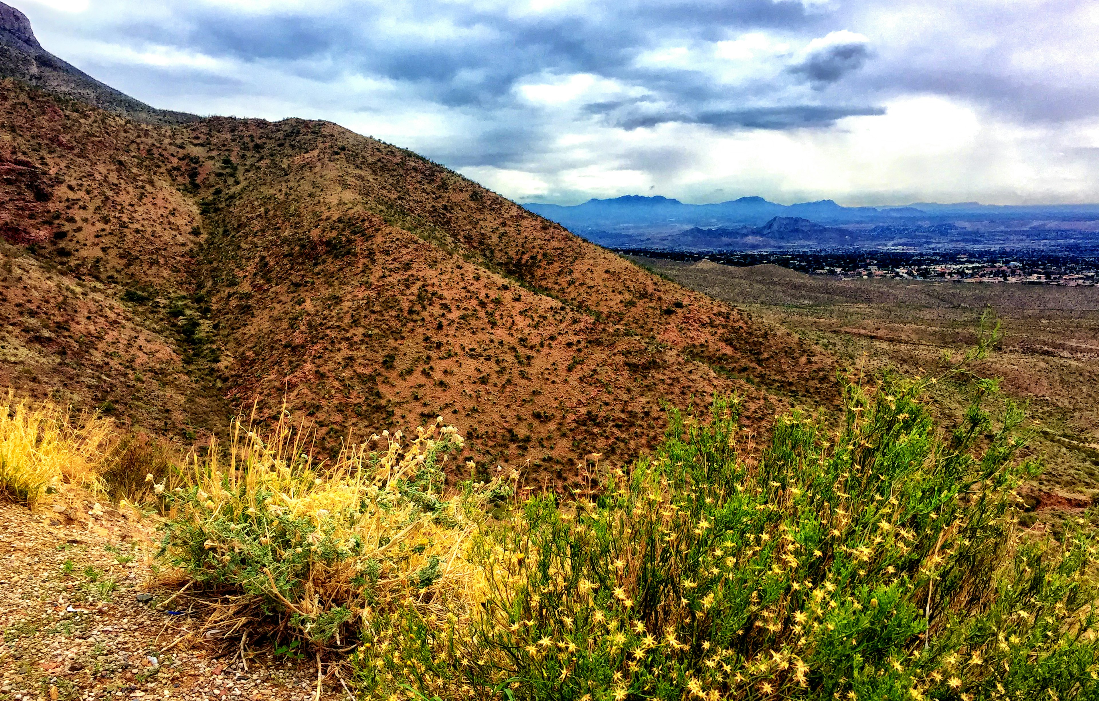 A horizontal view of the Franklin Mountains in El Paso, Texas, includes yellow wild flowers. Some of El Paso is visible in the background.