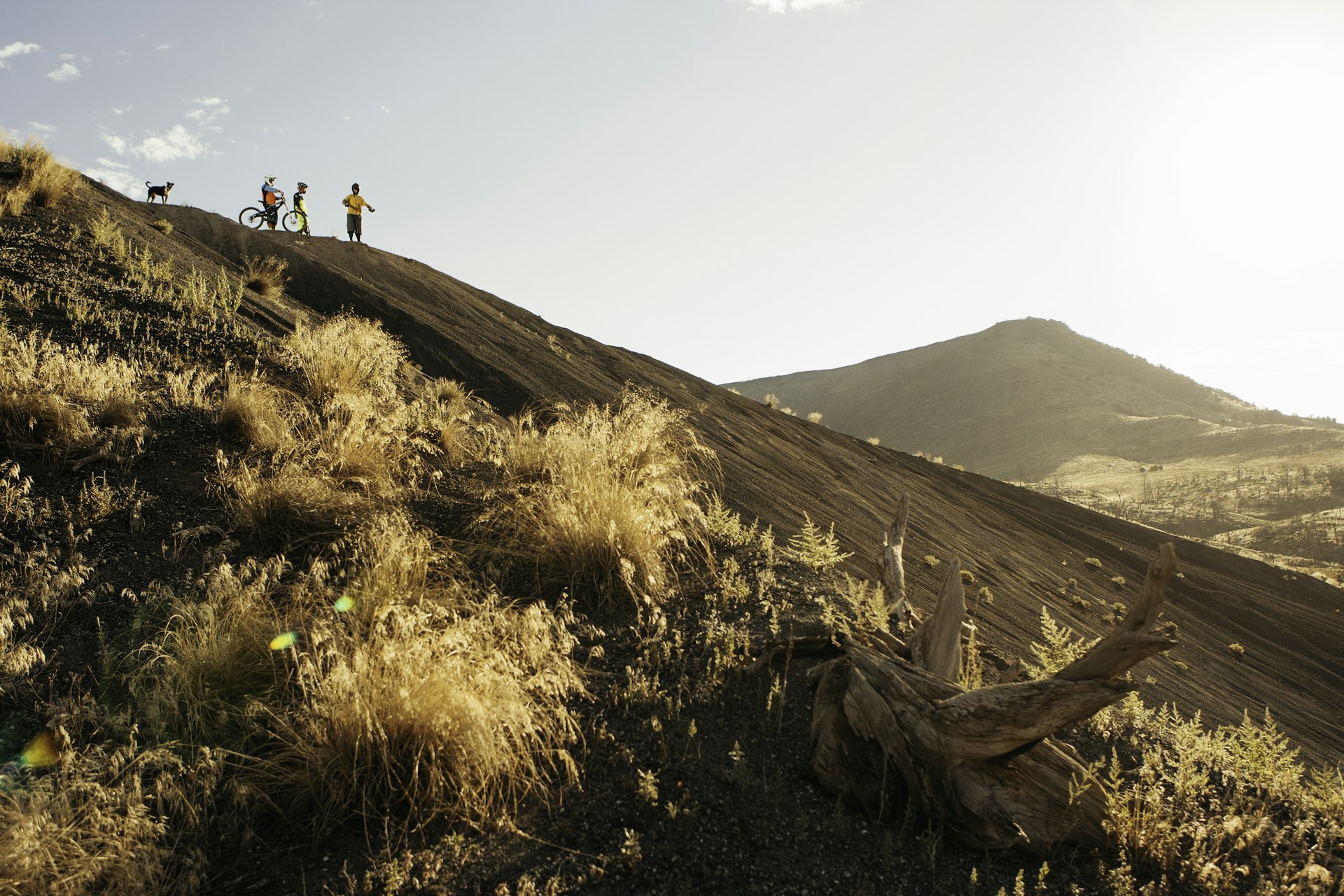 Two cyclists, a hiker and a dog pictured on a hilltop trail in Vail