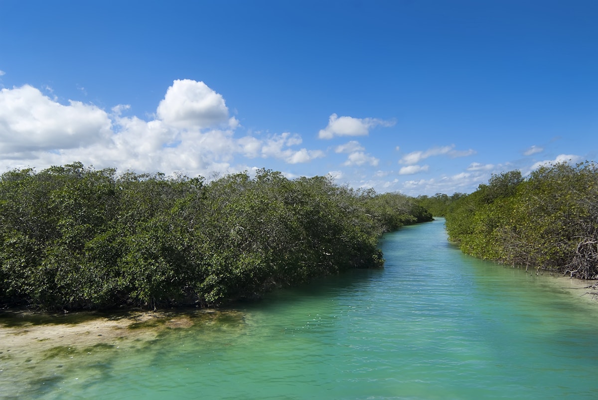 Nature of Quintana Roo
