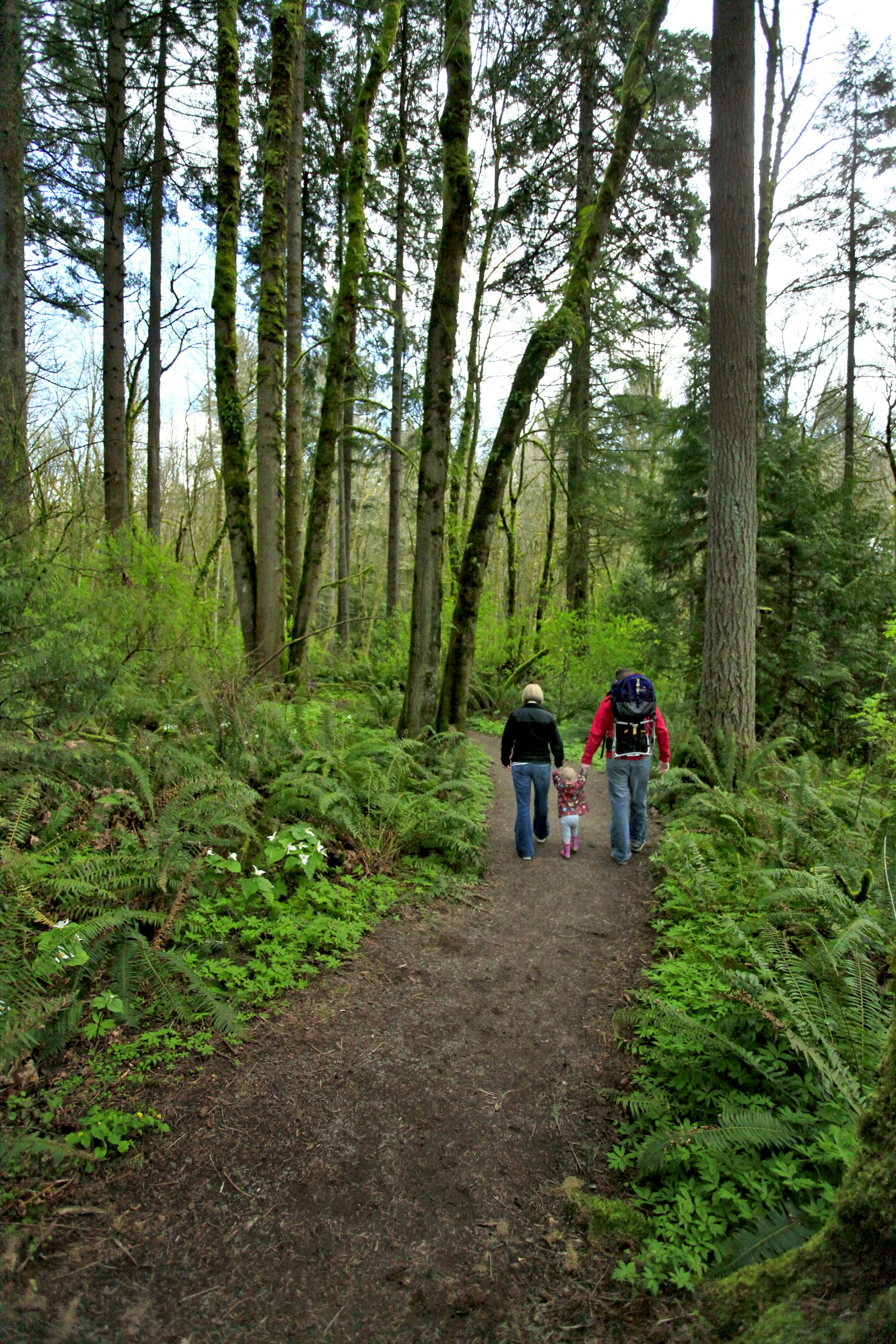 Family hiking through Tryon Creek State Park Natural Area in Portland, Oregon