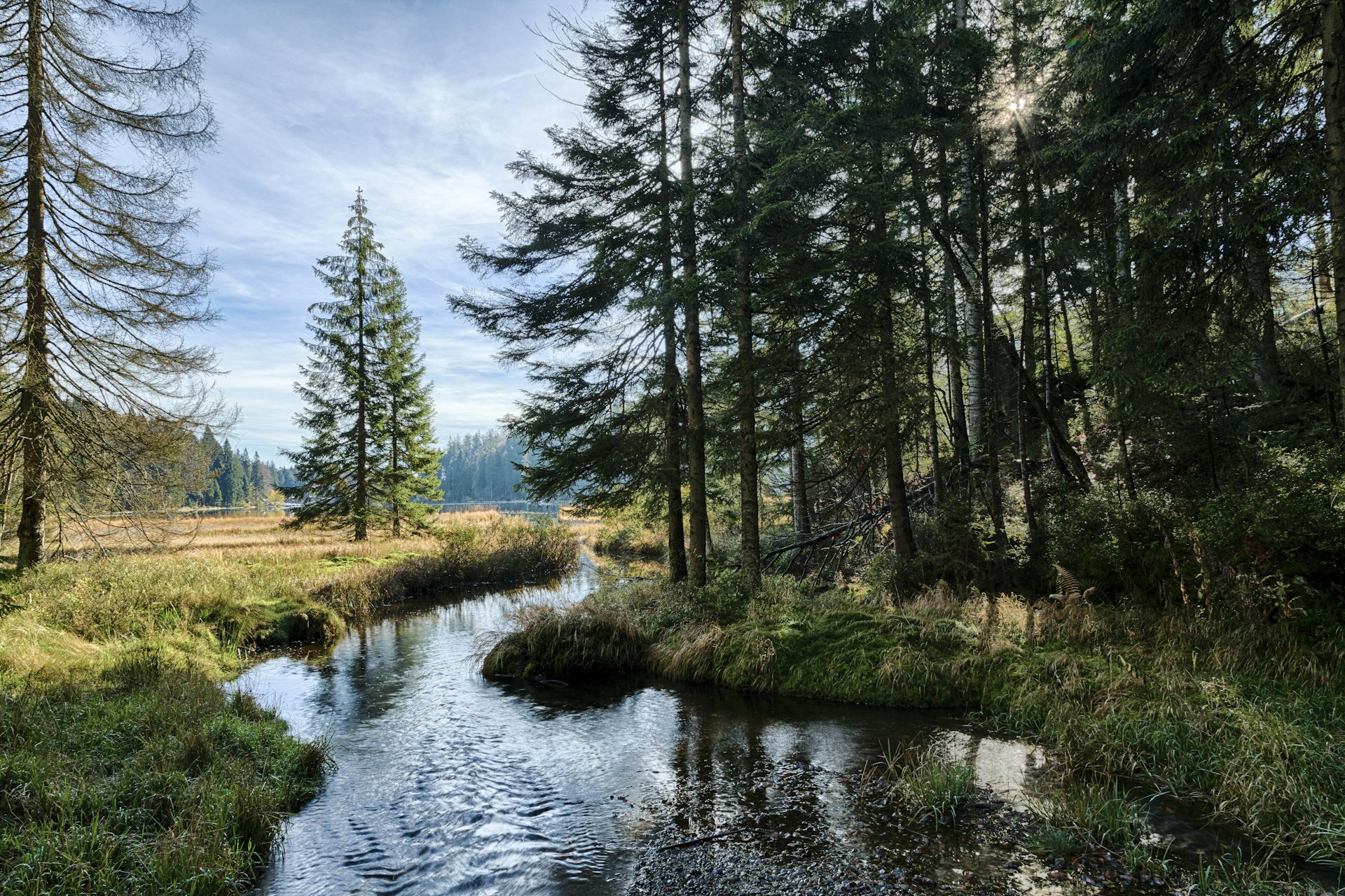 Lake Grosser Abersee in autumn in Bavarian Forest National Park, Germany