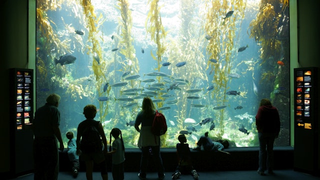Birch Aquarium At Scripps, La Jolla, California. (Photo by: Education Images/Citizens of the Planet/Universal Images Group via Getty Images)