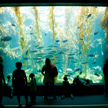 Birch Aquarium At Scripps, La Jolla, California. (Photo by: Education Images/Citizens of the Planet/Universal Images Group via Getty Images)