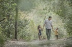 Hispanic father walking son and daughter in woods