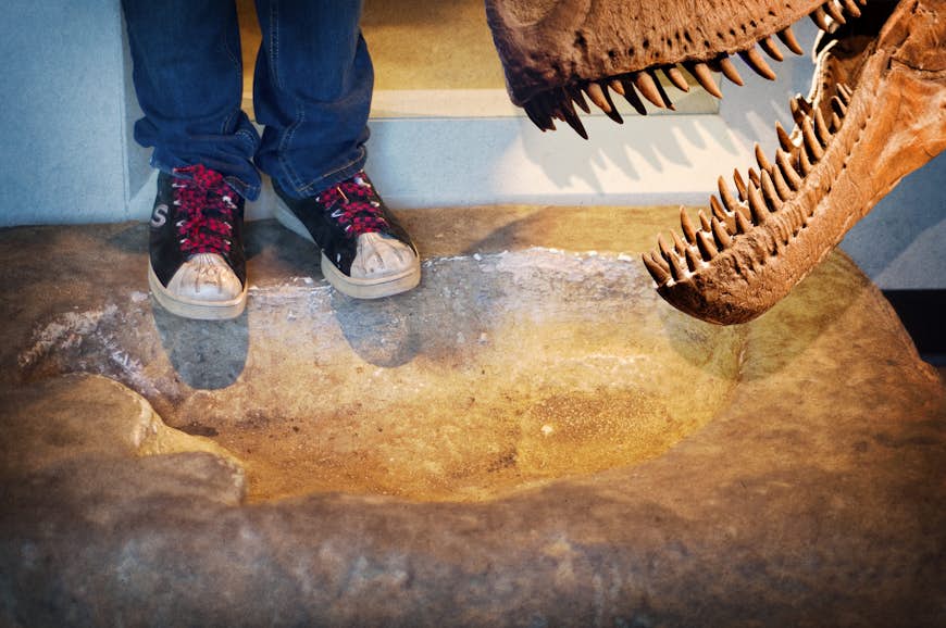 Child's feet posing next to a T-rex skeleton at the Field Museum of Natural History, Chicago