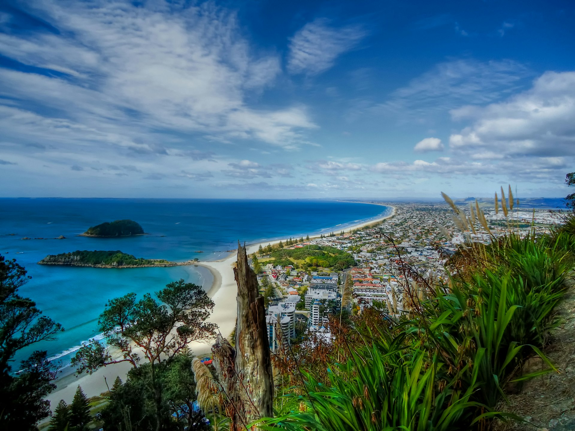 View from atop Mount Maunganui. Below is coastline is dotted with homes and businesses.  