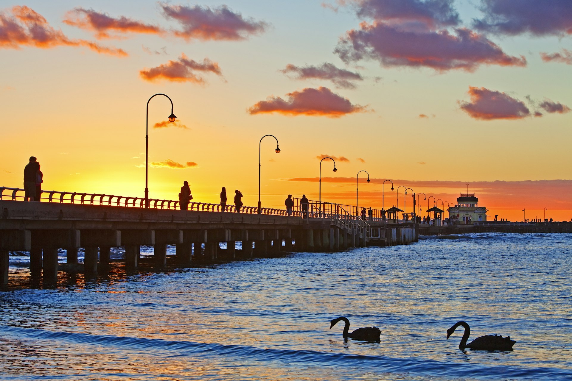 Sunset at St. Kilda Pier with swans.
