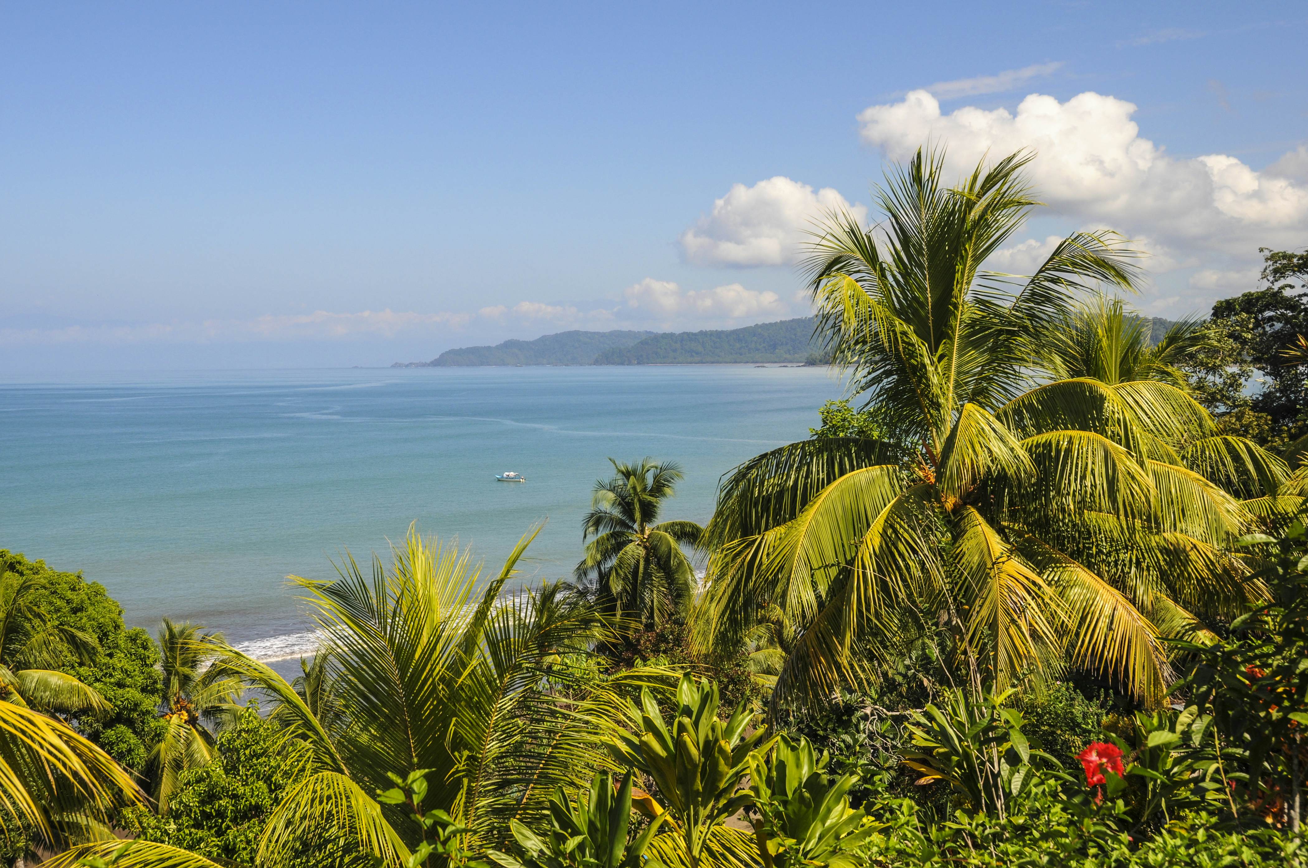 Osa Peninsula: a guide to the most adventurous corner of Costa Rica 